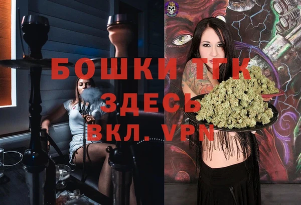 молекула духа Новозыбков