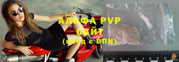 молекула духа Новозыбков