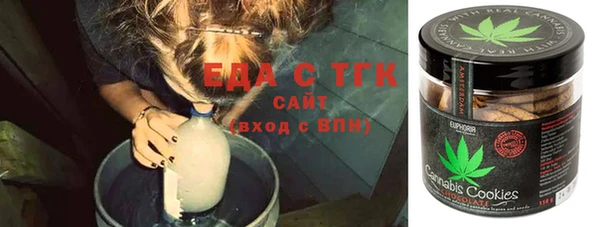 молекула духа Новозыбков