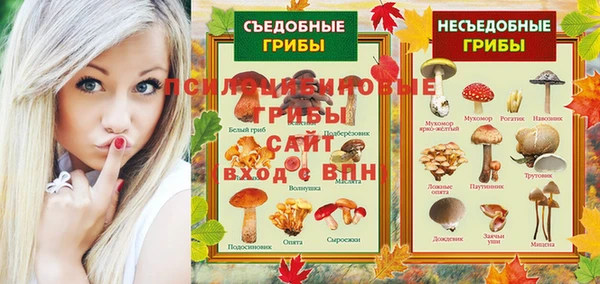 молекула духа Новозыбков