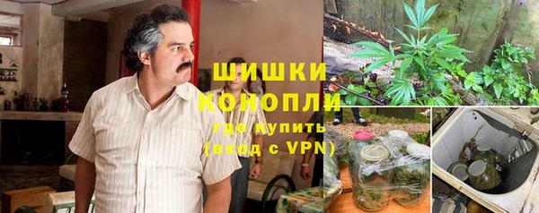 молекула духа Новозыбков
