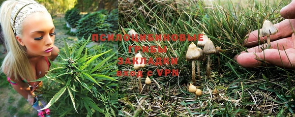 PSILOCYBIN Волосово