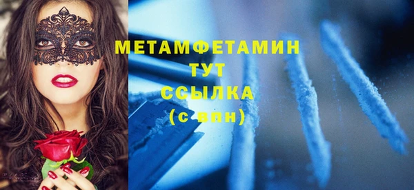 молекула духа Новозыбков