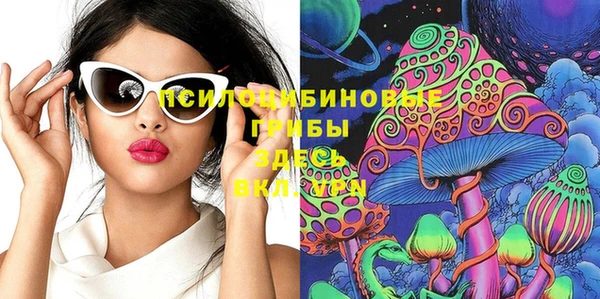 молекула духа Новозыбков