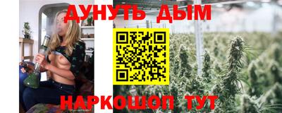 сатива Кандалакша