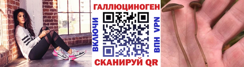 Псилоцибиновые грибы мухоморы  Лесозаводск 