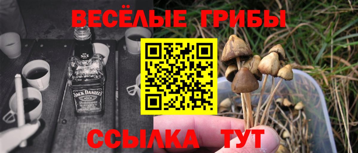 Галлюциногенные грибы Magic Shrooms  Вход с VPN  Лесозаводск  Псилоцибиновые грибы Psilocybine cubensis 